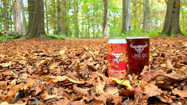 A pint of copper coloured beer and a can with Little Ox Brewery branding standing on a forest floor covered in brown autumn leaves, with trees in the background.
