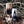 Load image into Gallery viewer, Spectre
